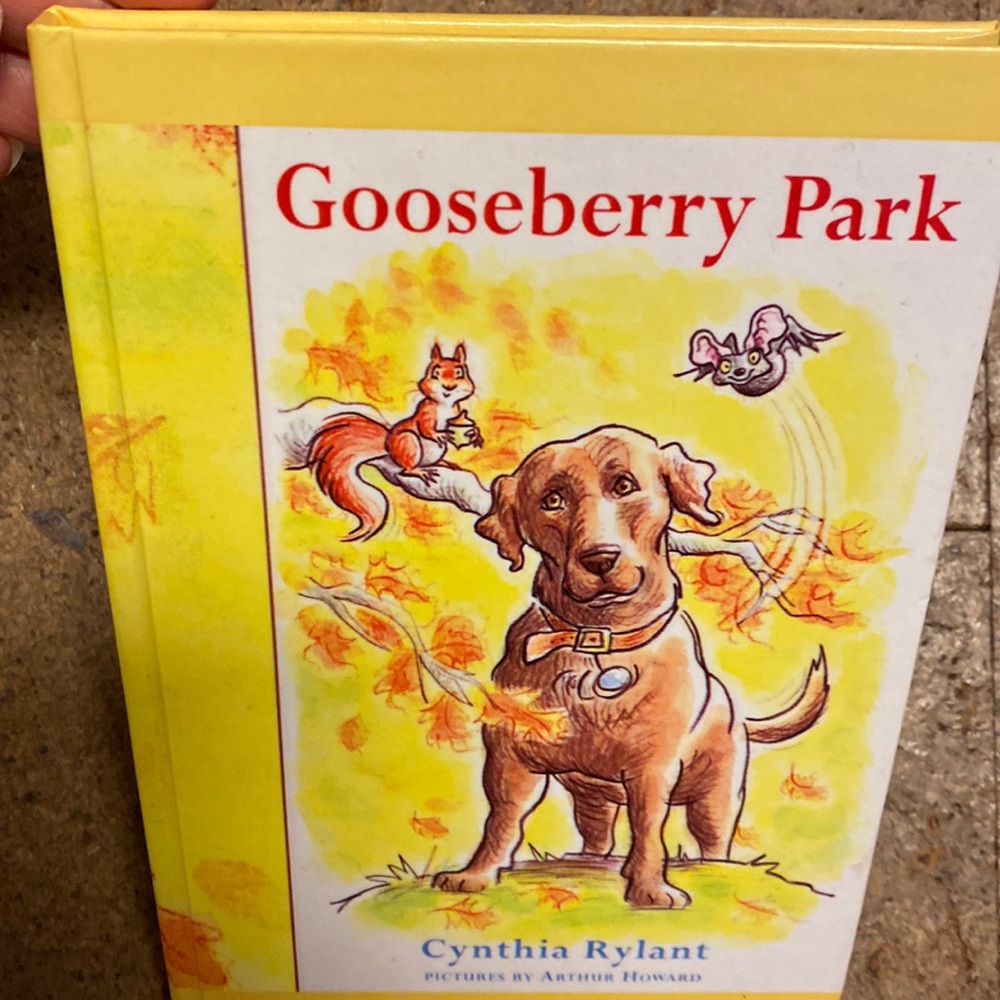 Vintage Scholastic Book